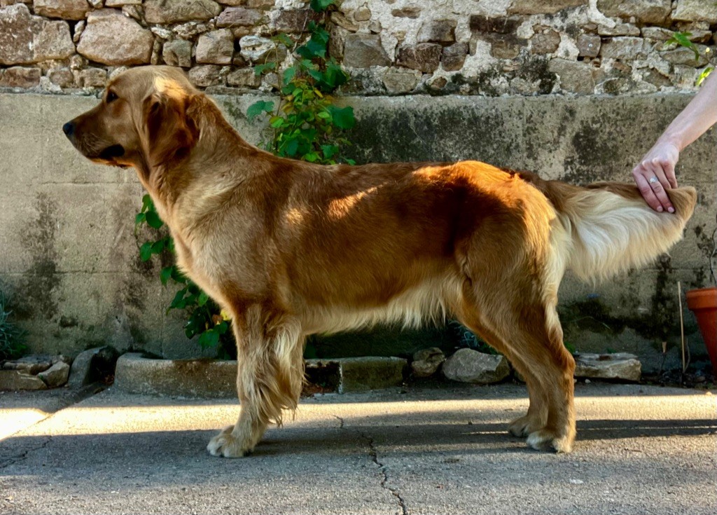 Shana De La Petite Sulka