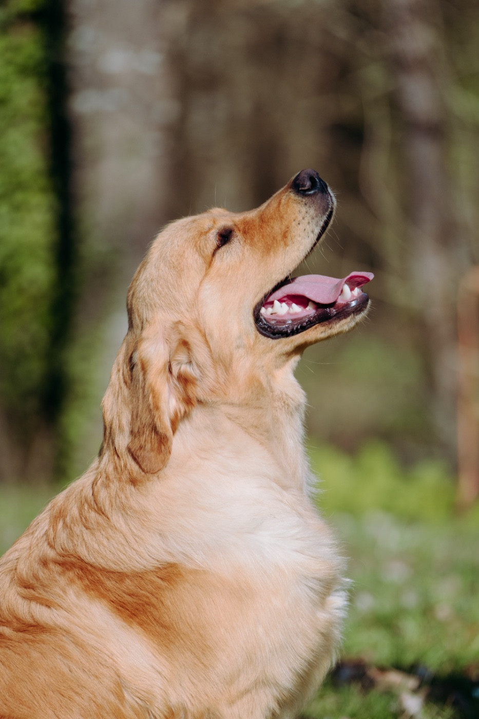 Another majesty Of Hawkchurch Cottage